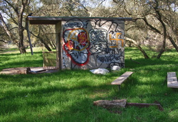 graffiti in the woods